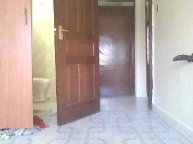 alarah274 on BongaCams 