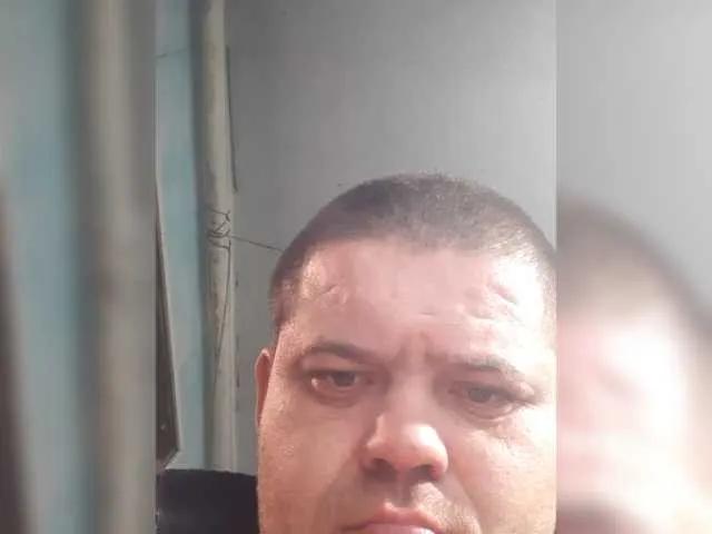 Kattselur17322 — ,  , ,       .