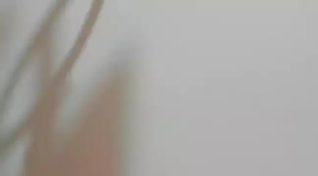 AnnaArela on StripChat 