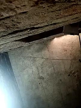 Jyoti_Roy1 — Full nude show open 