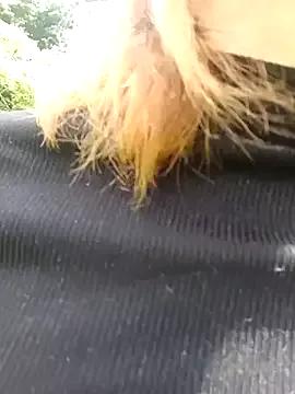 SussanHottye1_ on StripChat 